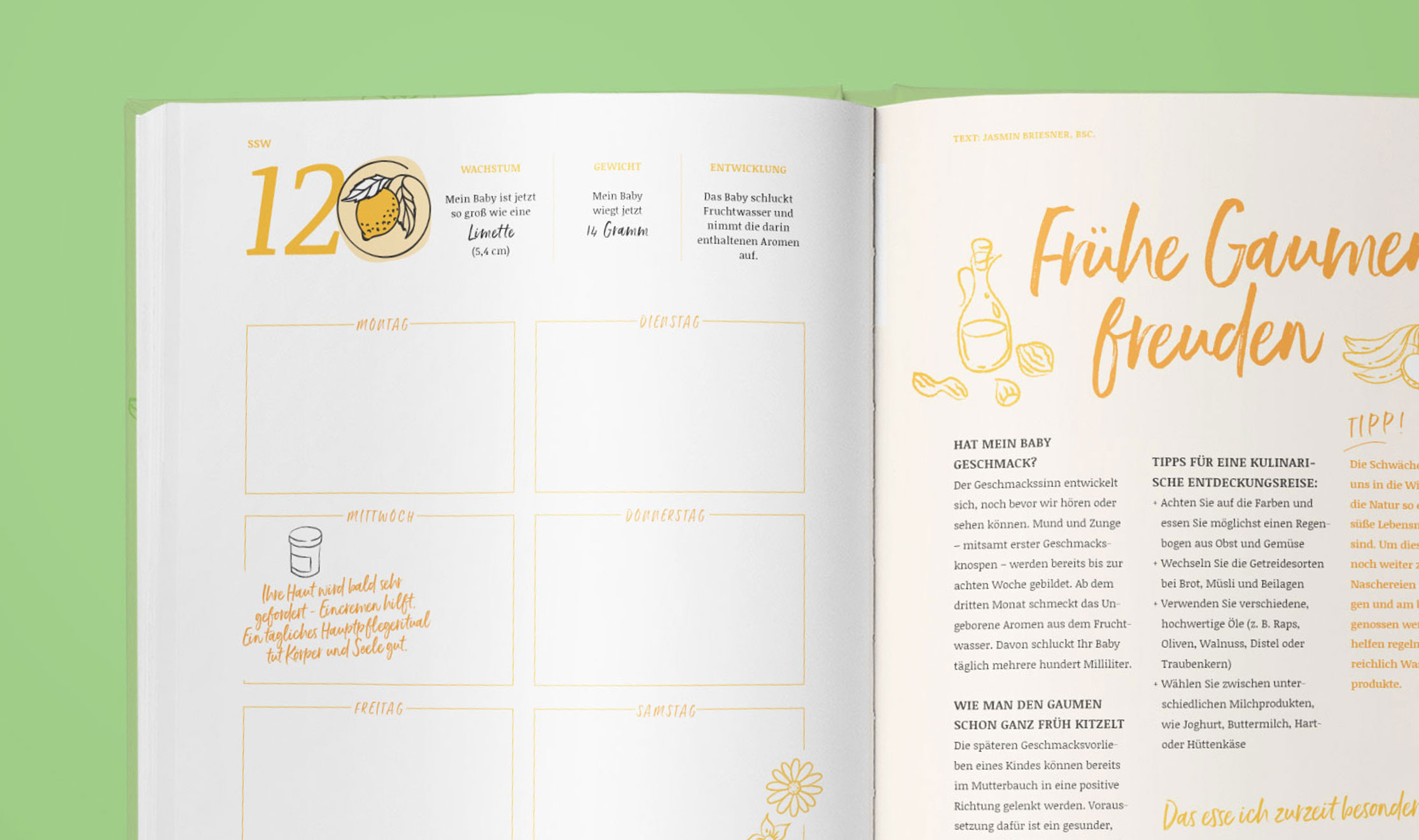 Grafikdesign Graz Greta Grabner Editorial DEsign STGKK REVAN Grafikdesign Graz Greta Grabner Editorial Design STGKK REVAN